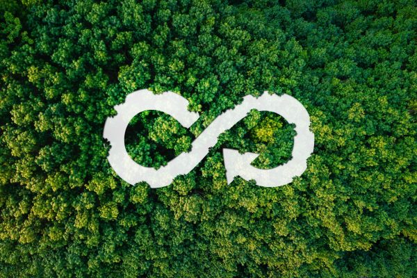 Infinity symbol integrated into a forest, representing a continuous circular system